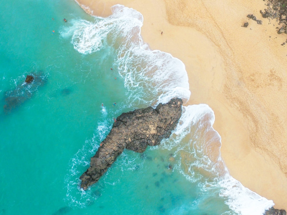 top view of rock on seashore