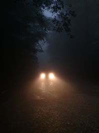 Un coche en el bosque
