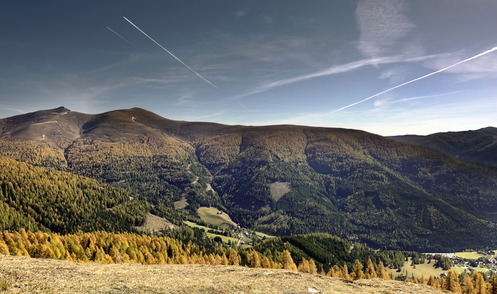 brown and green trees beside mountain