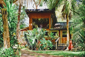 brown house near green trees