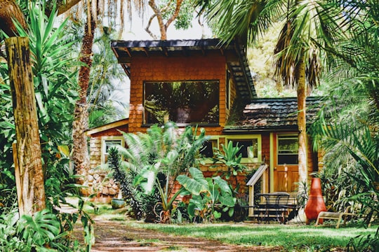 brown house near green trees in Maui United States