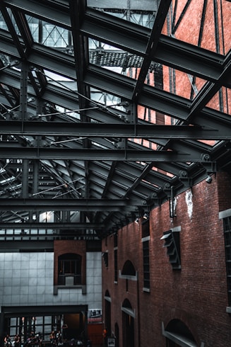 black metal ceiling frame