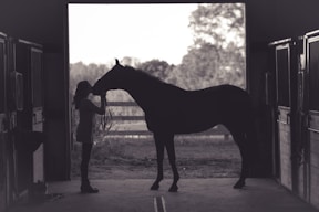 woman kissing horse