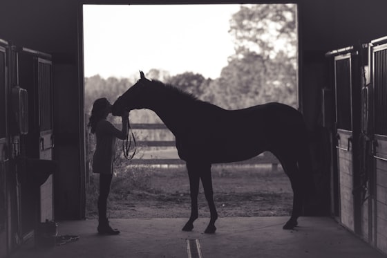 Tratadora e cavalo na porta da cocheira, em contraluz