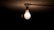 A dimly lit incandescent light bulb hanging from a ceiling with a moth flying close to it in an otherwise dark room.