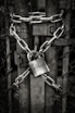 gray steel chain locked on gate