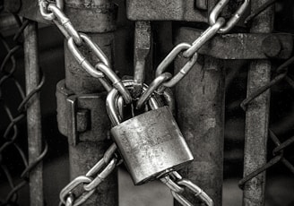 gray steel chain locked on gate