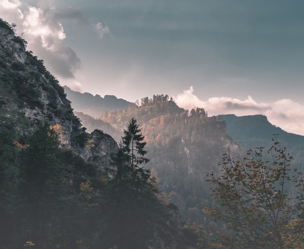 fog over mountains