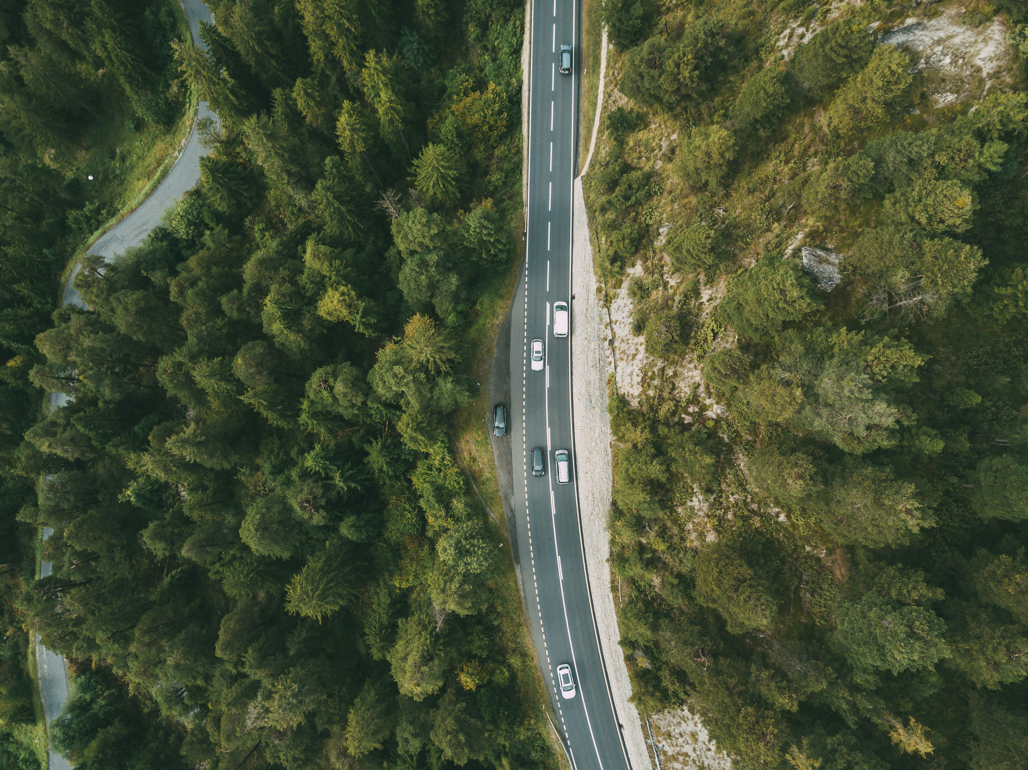 aerial photography of vehicle passing by highway between green trees