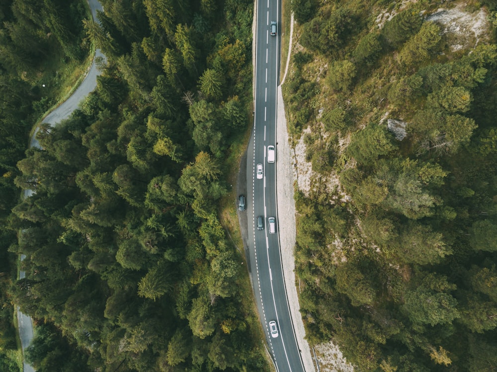 Luftaufnahme eines Fahrzeugs, das auf der Autobahn zwischen grünen Bäumen vorbeifährt