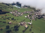 houses surrounded by grass field