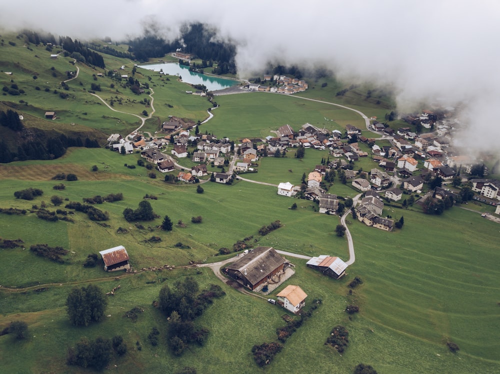 houses surrounded by grass field