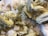 A collection of pale yellow, hexagonal crystalline formations clustered together against a backdrop of white, cotton-like mineral deposits. The crystals have a shiny, reflective surface and are layered in a staggered pattern, creating a complex, textured appearance.