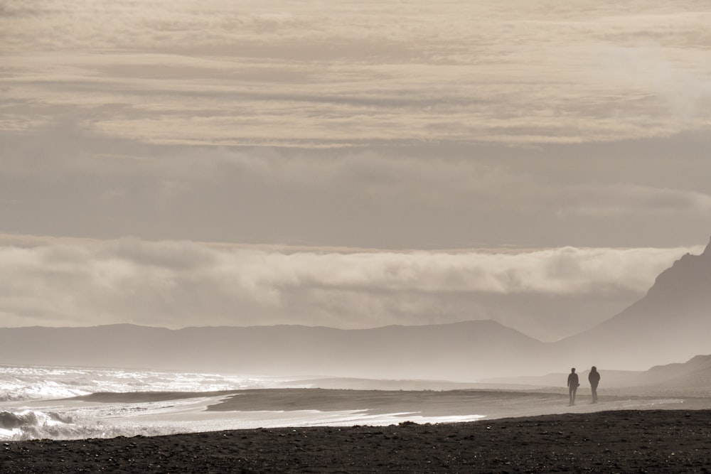 two person walking on the seashore