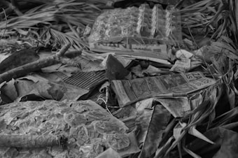 A collection of discarded materials including leaves, sticks, newspapers, and a plastic container. The scene appears cluttered and disorganized, with the newspapers showing text and images amidst other debris.