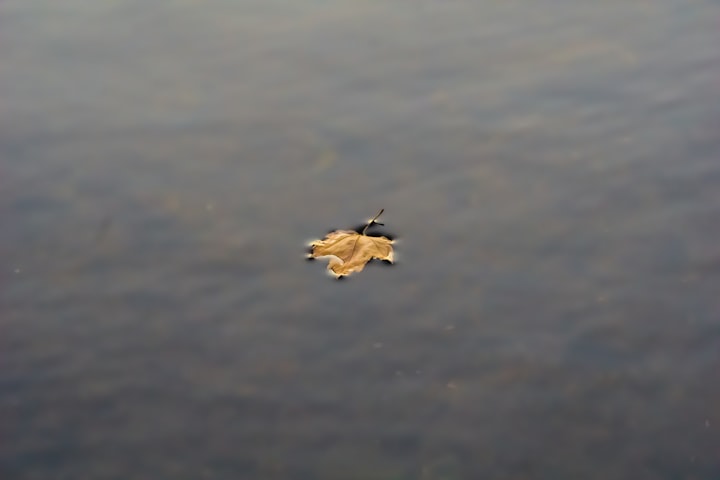 Leaf Upon the Lake