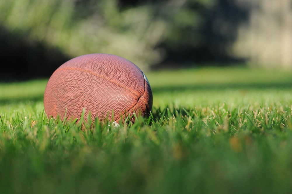 Photographie sélective de mise au point de football brun sur l’herbe pendant la journée