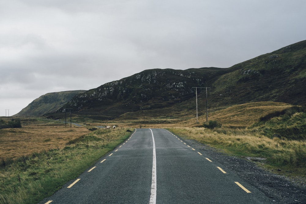 Carretera gris y blanca