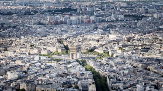 green trees surrounded by house in L'Arc de Triomphe de l'Etoile France