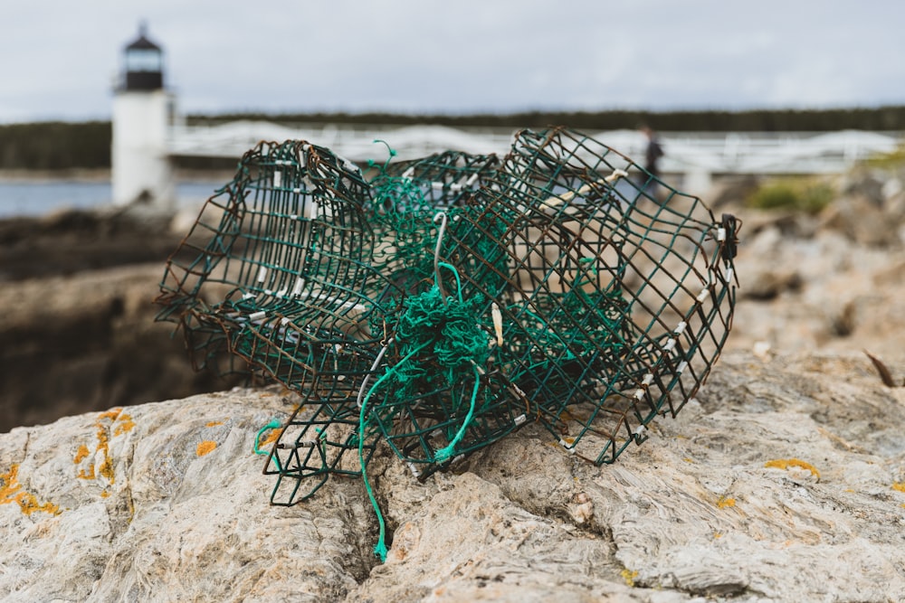 black and green net on rock