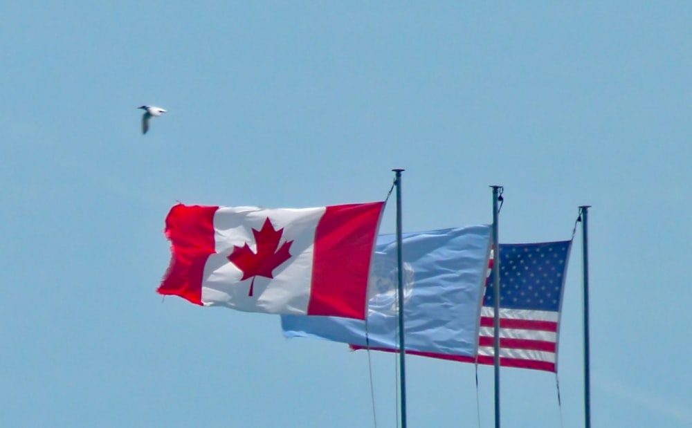 three raised country flags