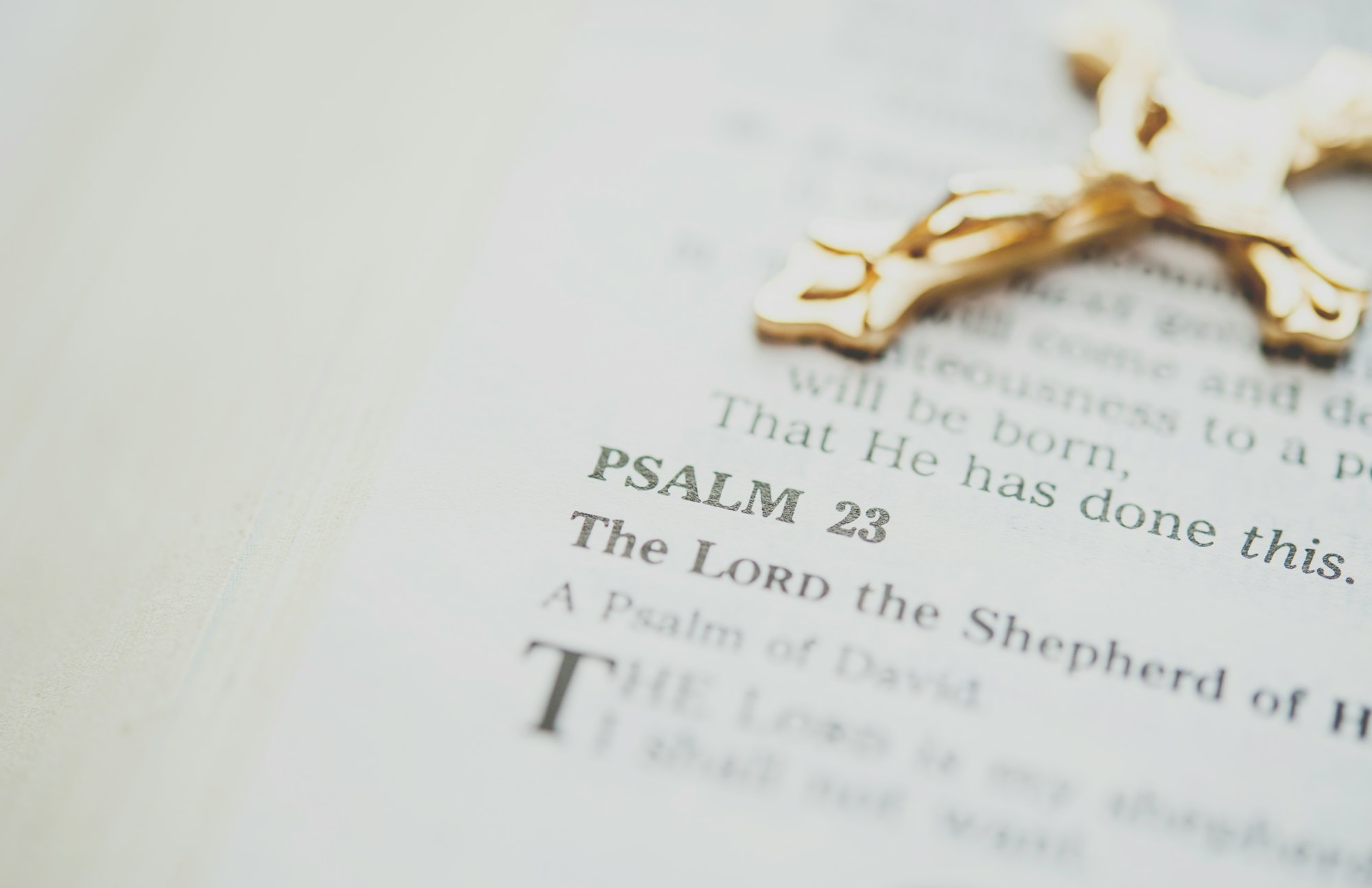 The Lord is my Shepherd text with cross in background