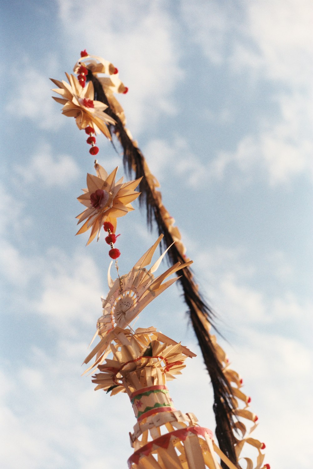 Photographie en contre-plongée de l’arche florale