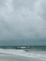bird flying over sea at daytime