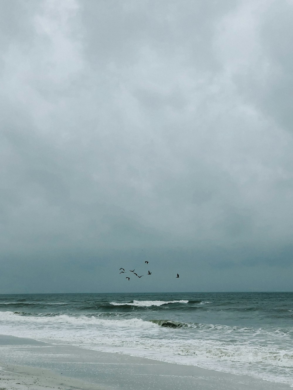 bird flying over sea at daytime