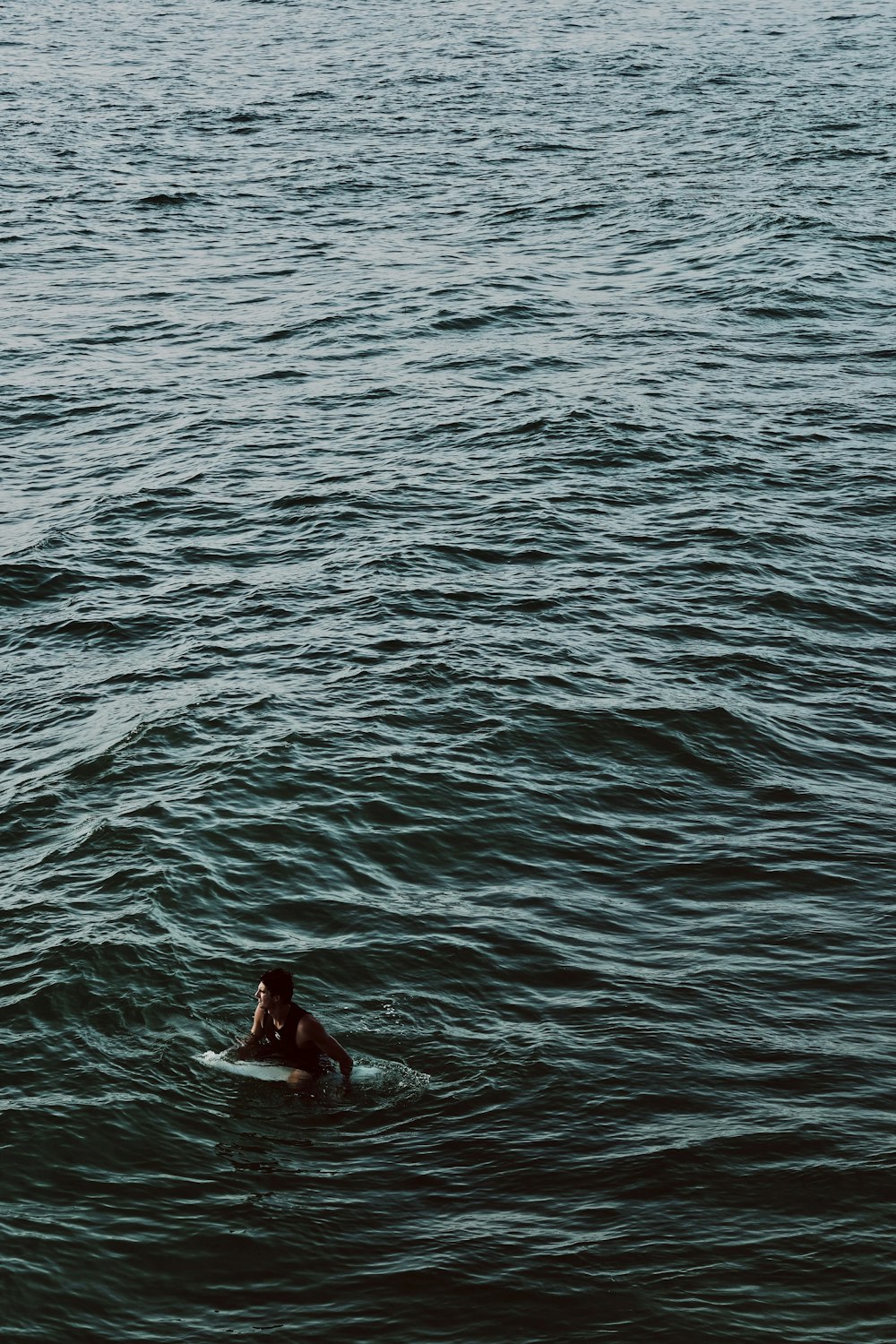 homme montant sur une planche de surf sur un plan d’eau pendant la journée