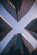 low-angle photography of four high-rise buildings