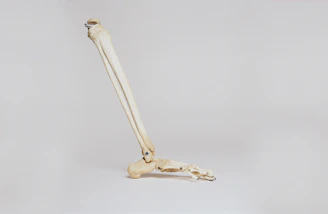 An intricate 3D animation of a knee joint prosthetic demonstrating its flexibility.