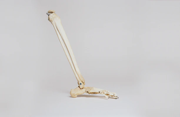 An intricate 3D animation of a knee joint prosthetic demonstrating its flexibility.