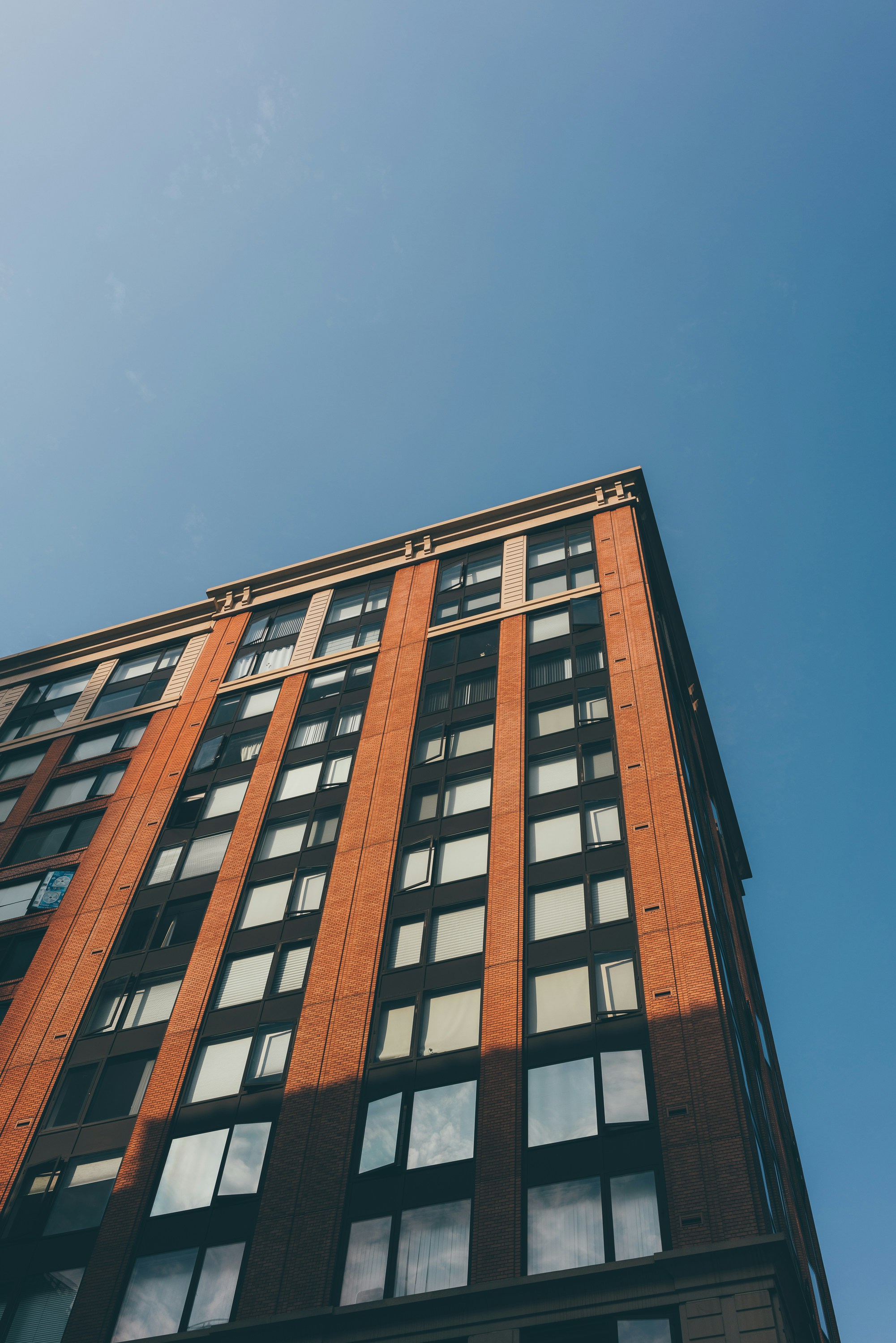 Photo by thommilkovic