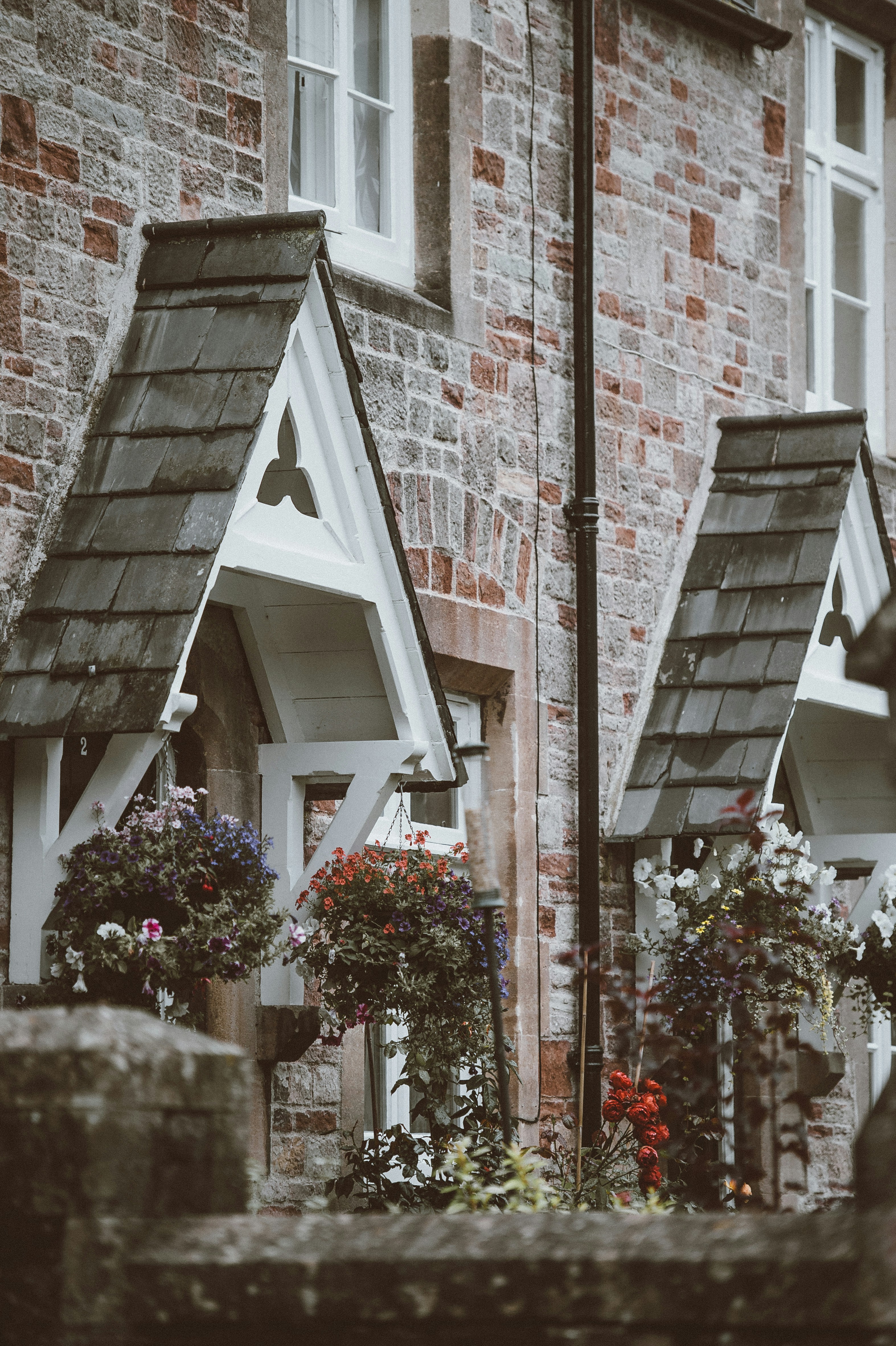 Photo by anniespratt