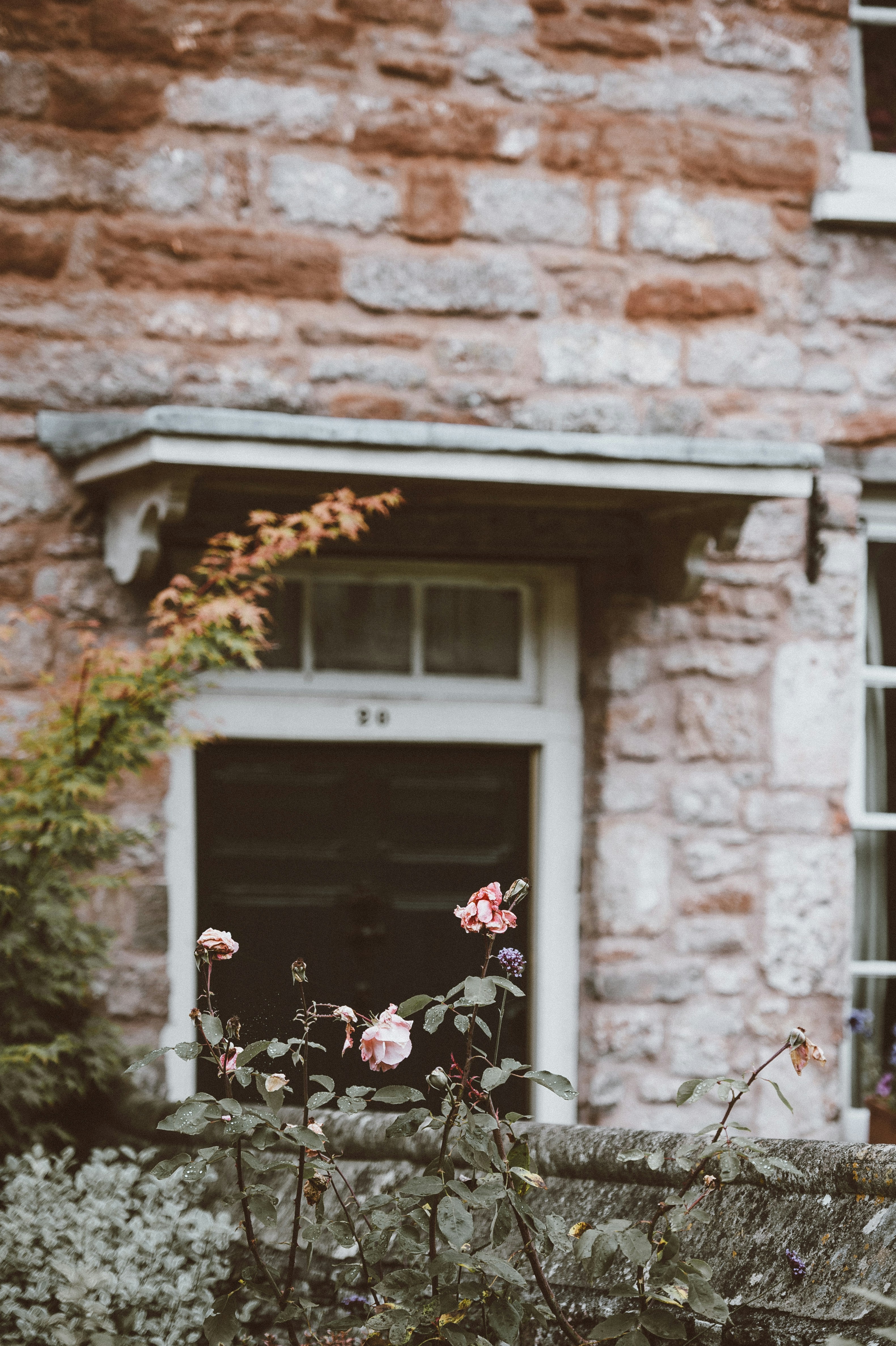 متن جایگزین