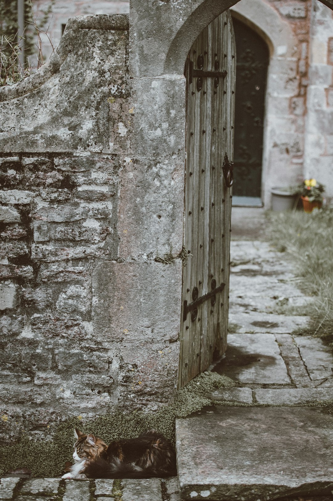 Ruins photo spot Vicar's Close Winchester