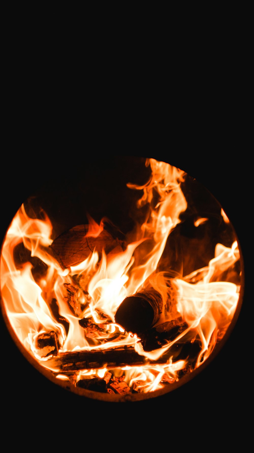 bonfire illustration