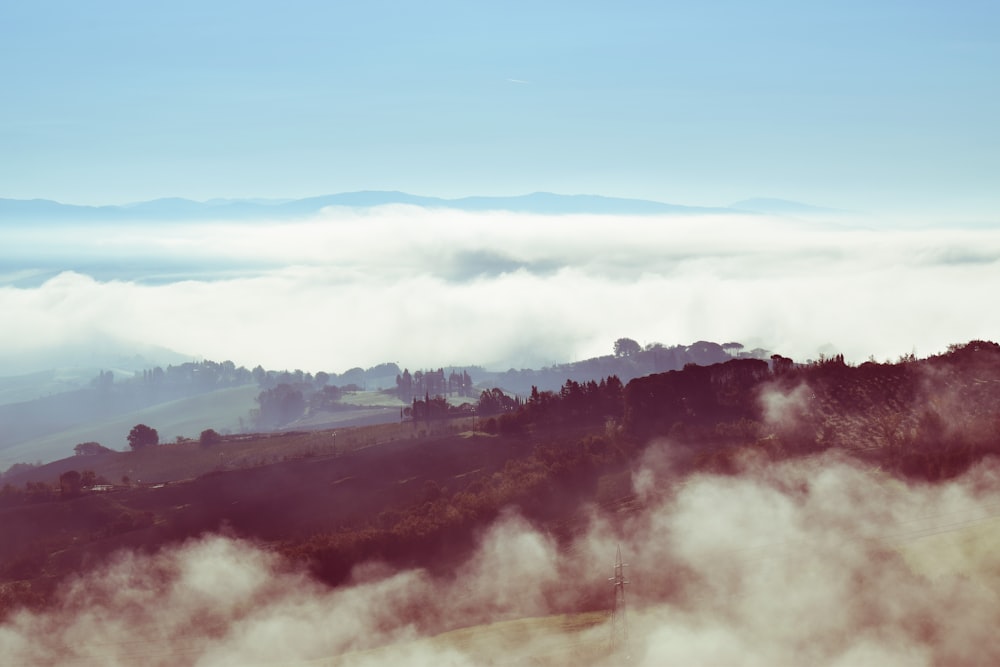 Vista de pájaro del campo