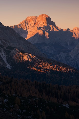 Sunset casting golden light over towering evergreens and the rugged terrain of Mt. Rainier National Park.