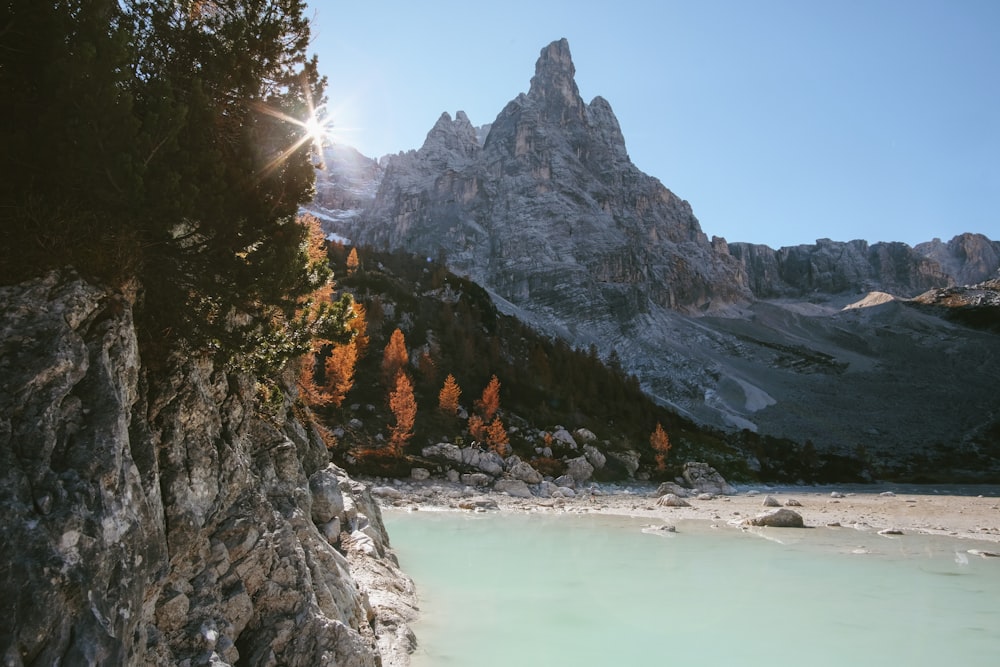 Arbres sur la montagne près d’un plan d’eau