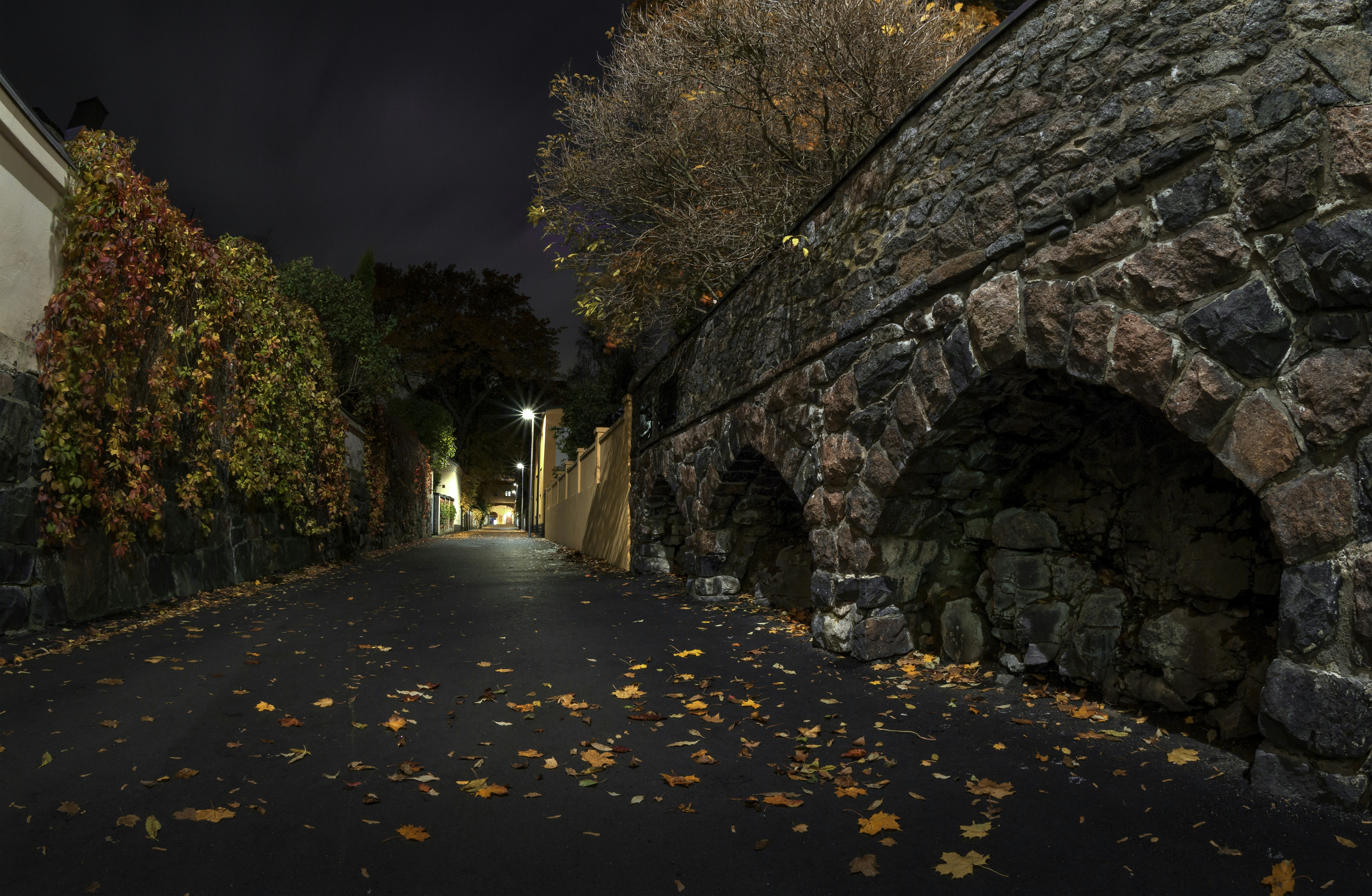 gray and brown concrete wall during night