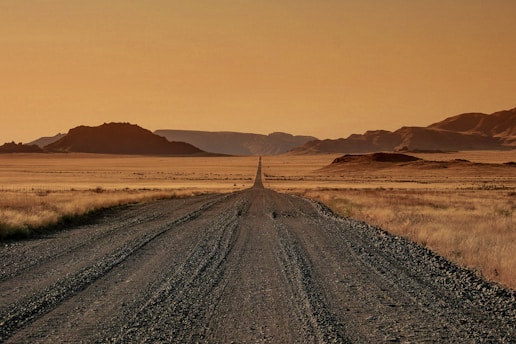 gray road in middle of road during daytime