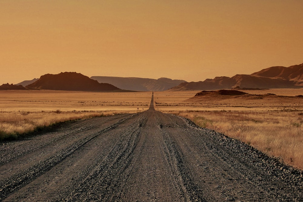 gray road in middle of road during daytime