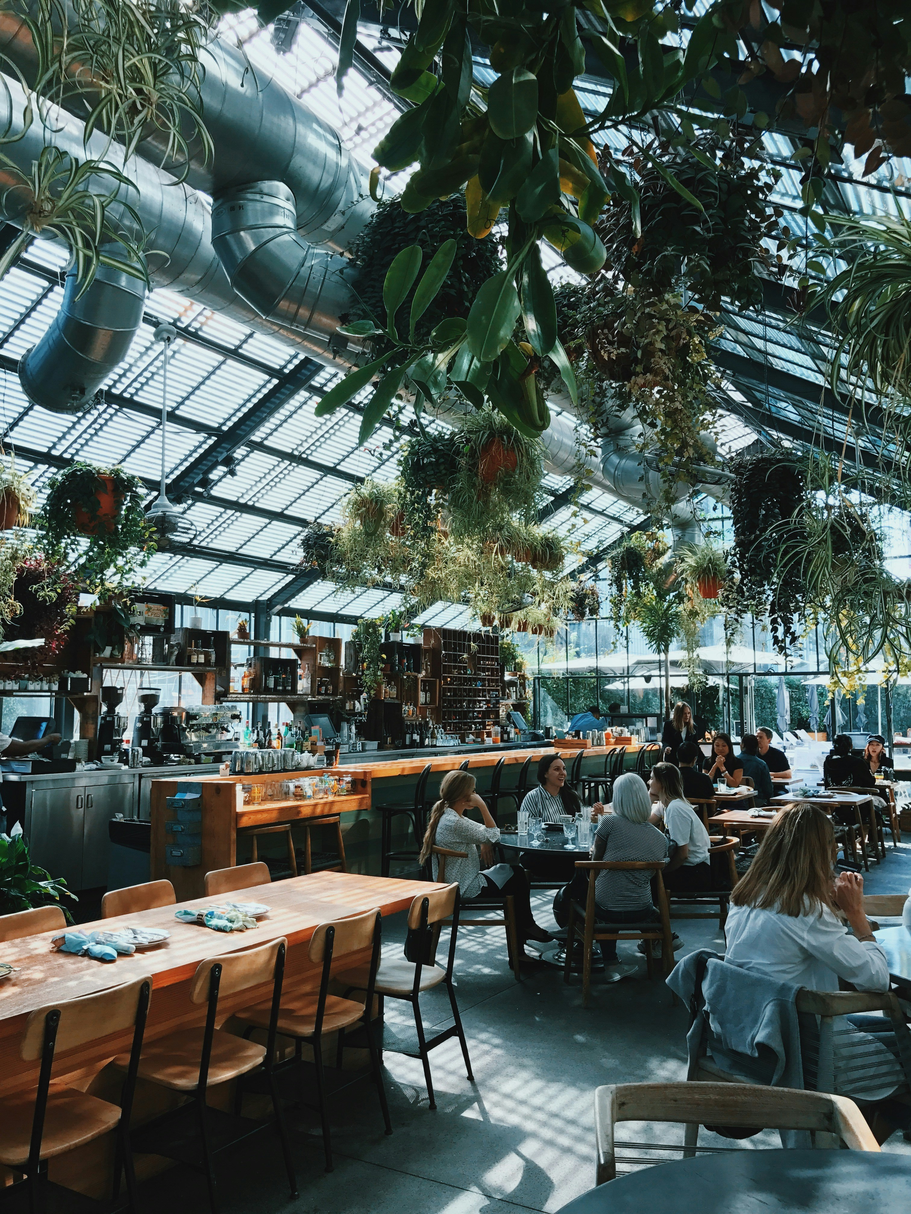Large Chain Restaurants Get Payroll Protection Loans