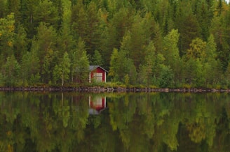 A small red cabin nestled among dense green trees is reflected in a calm lake. The scene is peaceful with lush foliage and clear water, highlighting the solitude and tranquility of nature.