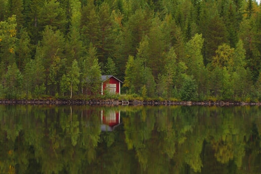A small red cabin nestled among dense green trees is reflected in a calm lake. The scene is peaceful with lush foliage and clear water, highlighting the solitude and tranquility of nature.