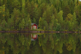 A small red cabin nestled among dense green trees is reflected in a calm lake. The scene is peaceful with lush foliage and clear water, highlighting the solitude and tranquility of nature.