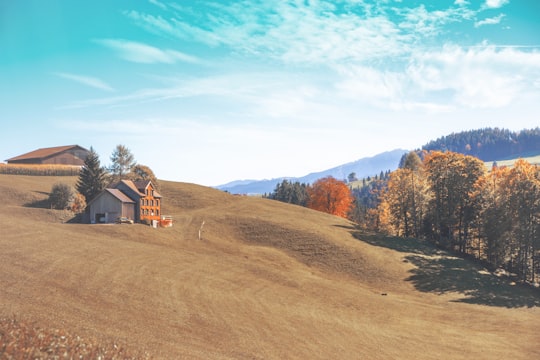 photo of Waldkirch Hill near Voralpsee