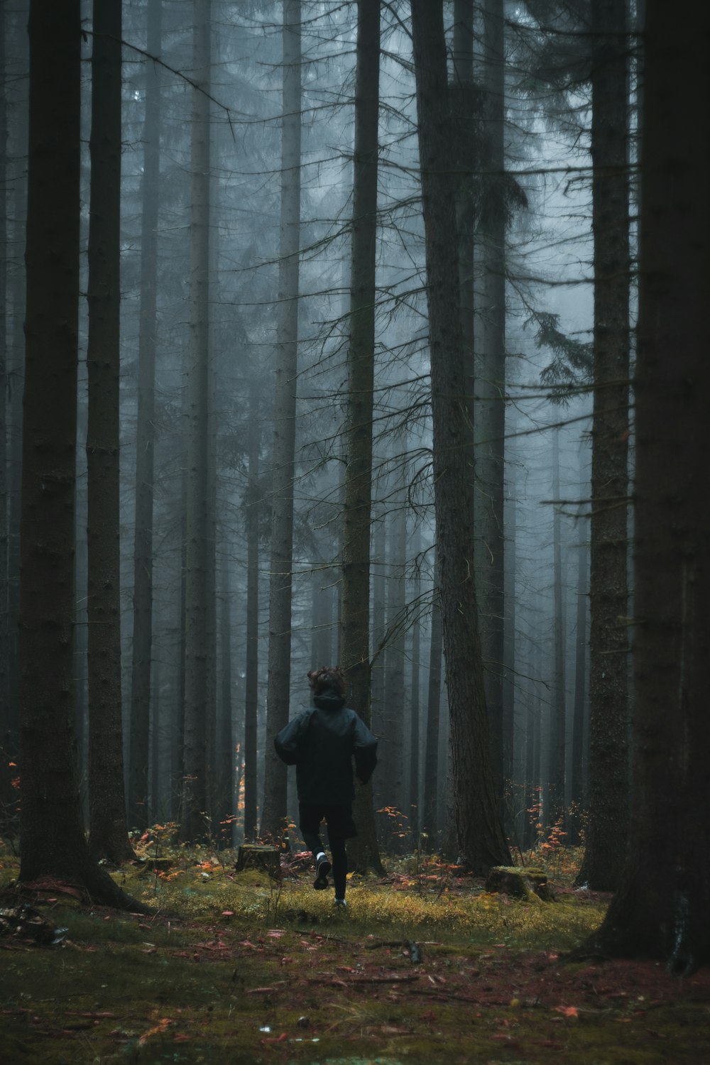 Persona che corre negli alberi della foresta con la nebbia